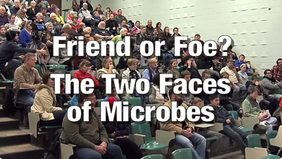 Friend or Foe? The Two Faces of Microbes