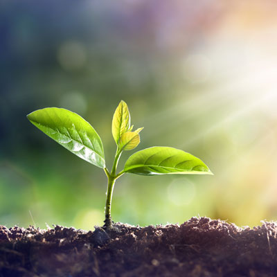 YCare Project Receives SEED Funding