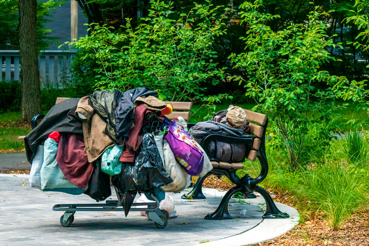 A person sleeping on a park bench with their belongings in a shopping cart next to them.