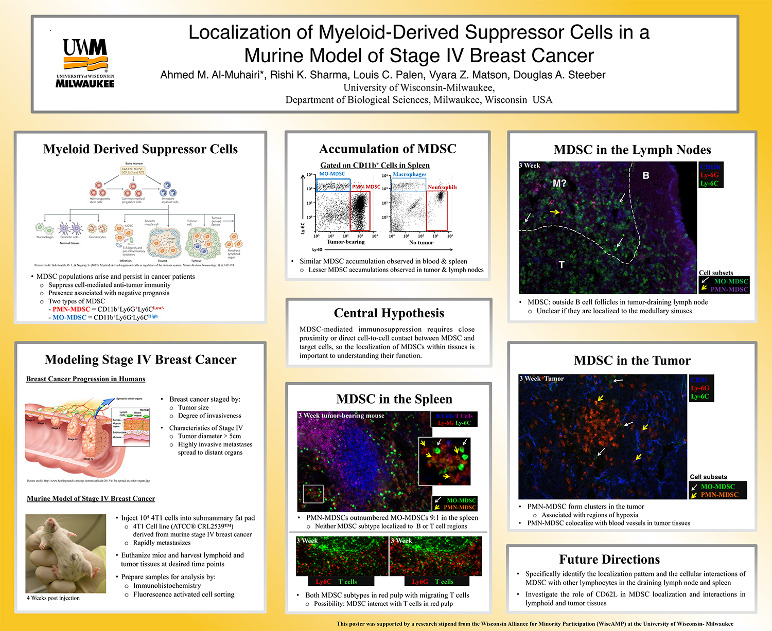 Research Posters and Topics | steminspire