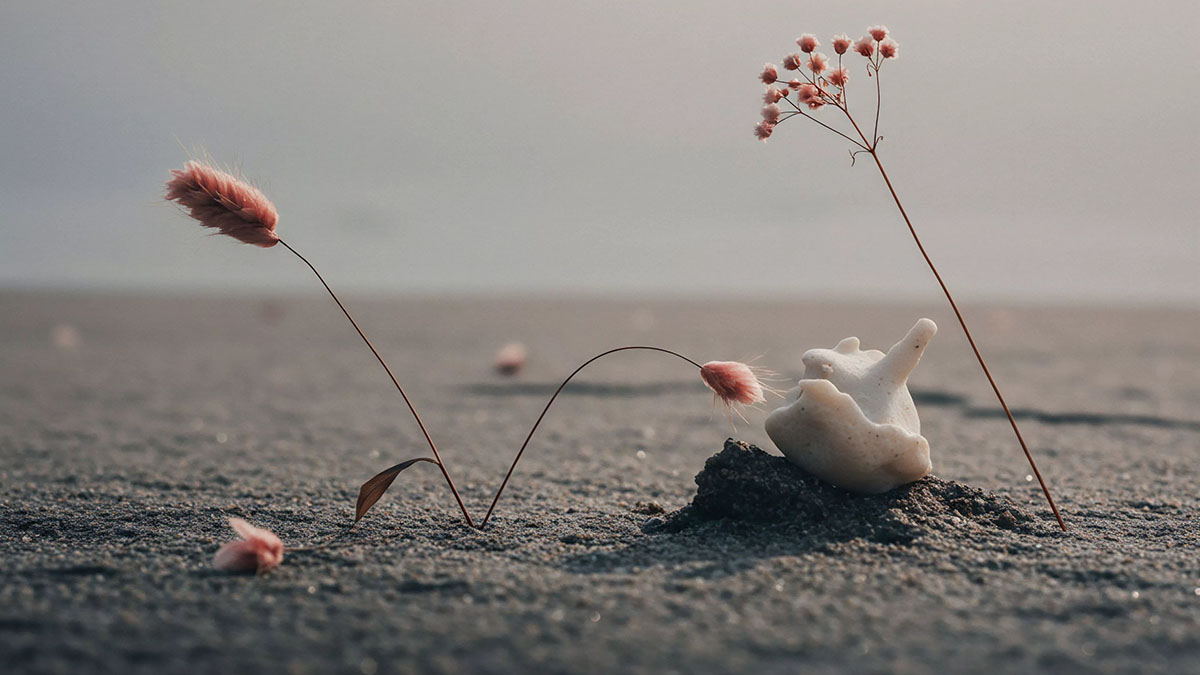 Power of the Pen: Natural World