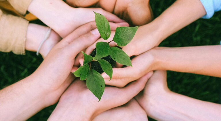 Photo of 4 pairs of a hands creating a circle in the middle of the photo. The hands are holding a small plant with green leaves in the middle of the circle
