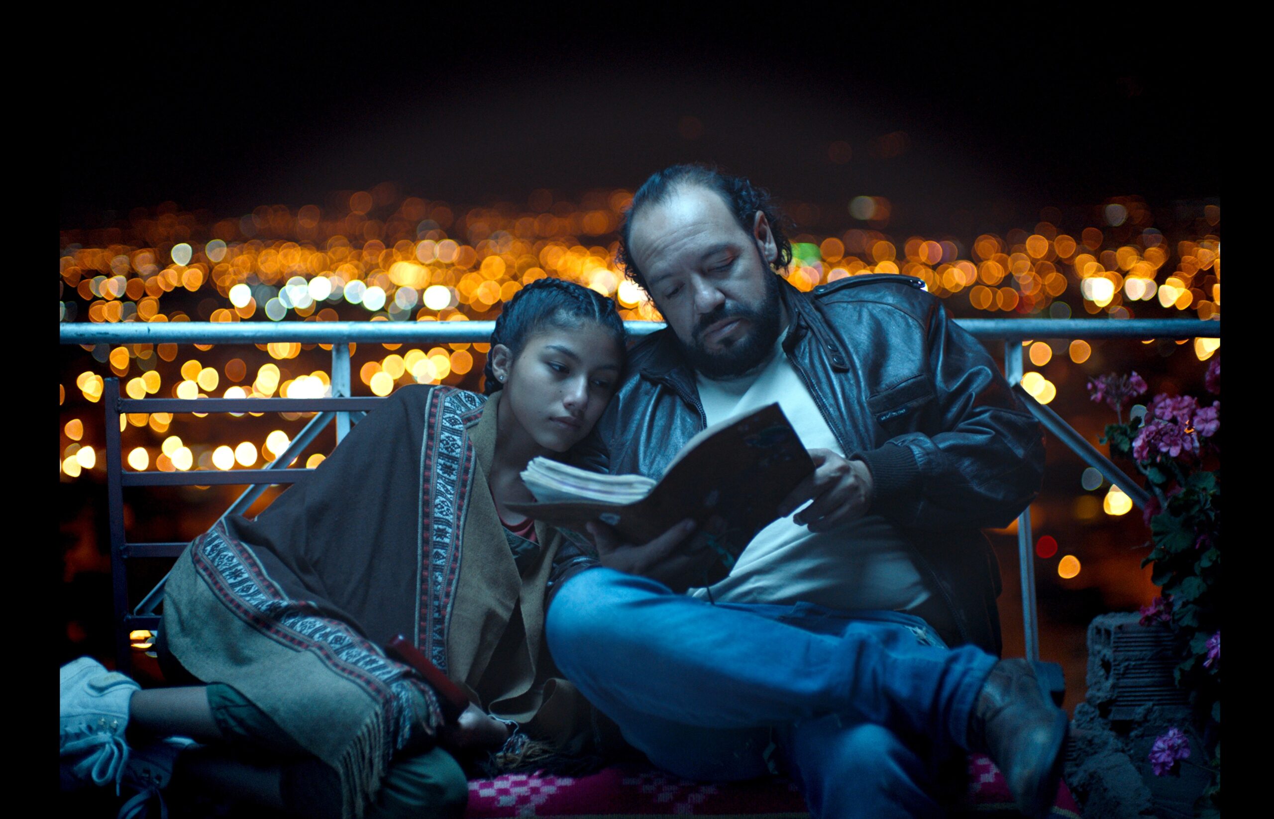 The Visitor (El visitante)