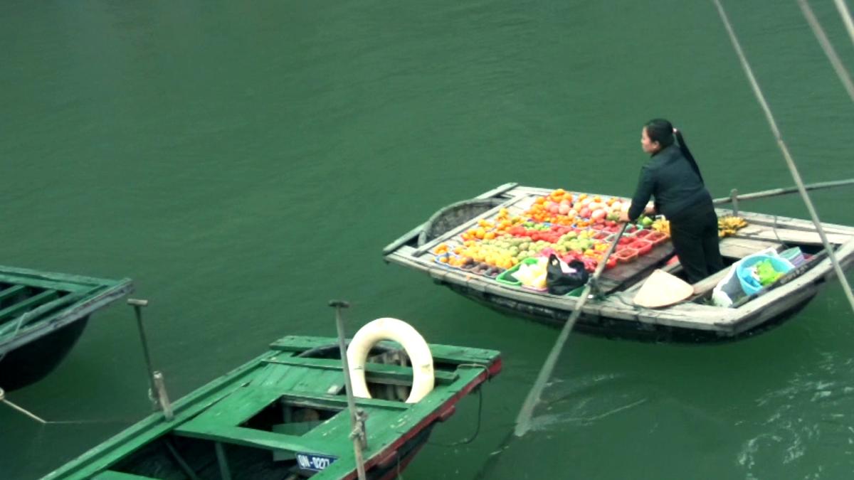 Based on the visual style and themes of Trinh T. Minh-ha's film essay "Forgetting Vietnam," here is a concise alt-text description for the provided image: A high-angle shot of a woman in a small wooden boat on the green-tinted waters of Ha Long Bay, Vietnam. Her boat is filled with a colorful arrangement of fresh fruits. A second green boat with a white lifebuoy is partially visible in the foreground, creating a sense of daily life and commerce on the water.