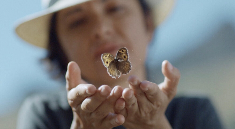 A cinematic, wide-angle shot of a person wearing a sun hat, viewed from a slightly low angle, holding their hands out cupped together. A small, brown and orange speckled butterfly is captured mid-flight, hovering just above the palms of their hands. The background shows a soft-focused, blurred landscape of hills under a clear sky.