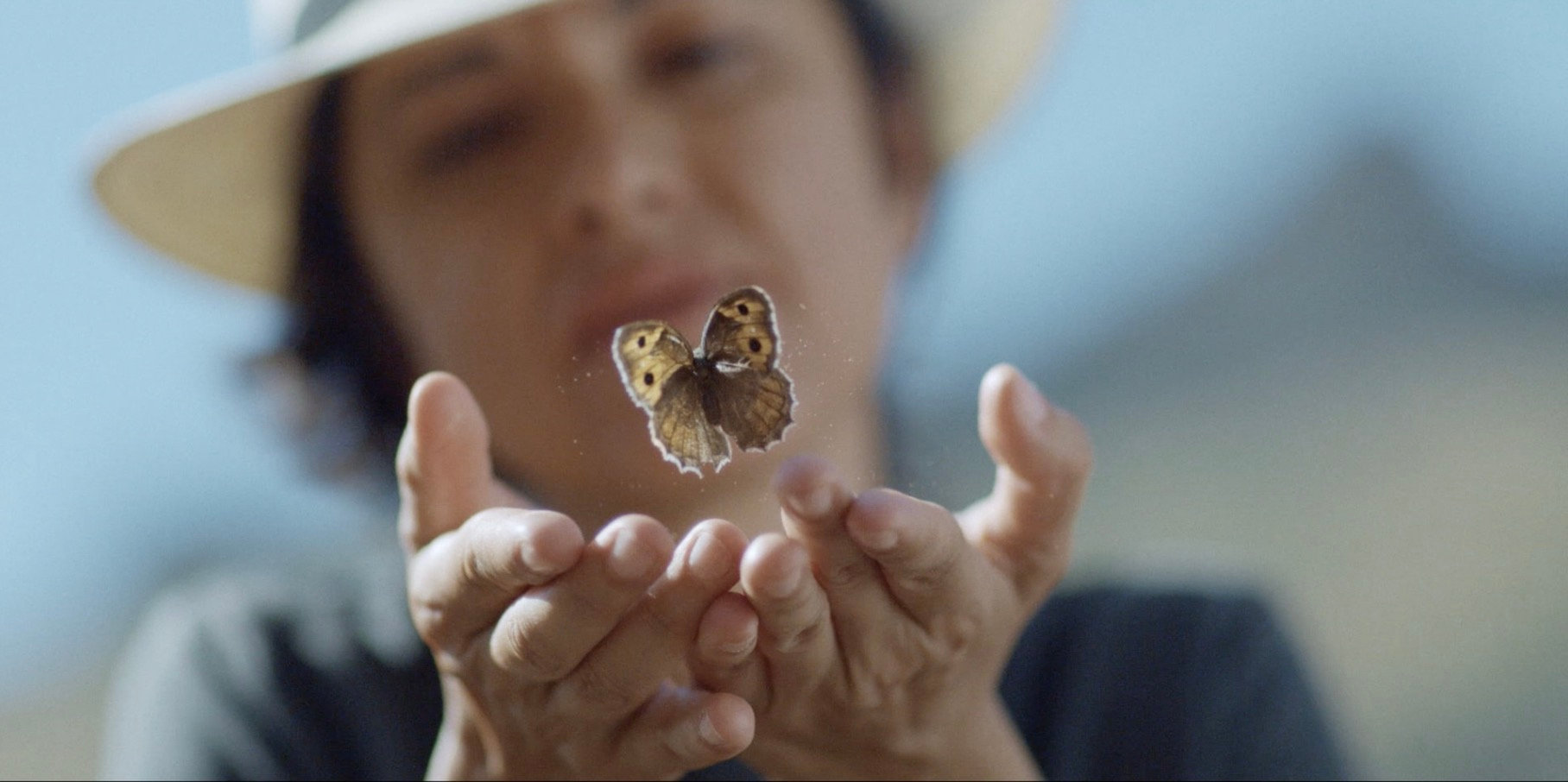 A cinematic, wide-angle shot of a person wearing a sun hat, viewed from a slightly low angle, holding their hands out cupped together. A small, brown and orange speckled butterfly is captured mid-flight, hovering just above the palms of their hands. The background shows a soft-focused, blurred landscape of hills under a clear sky.