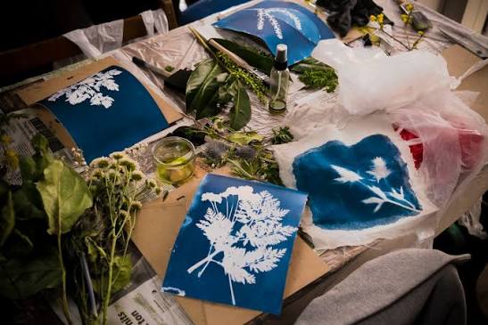 Cyanotype
