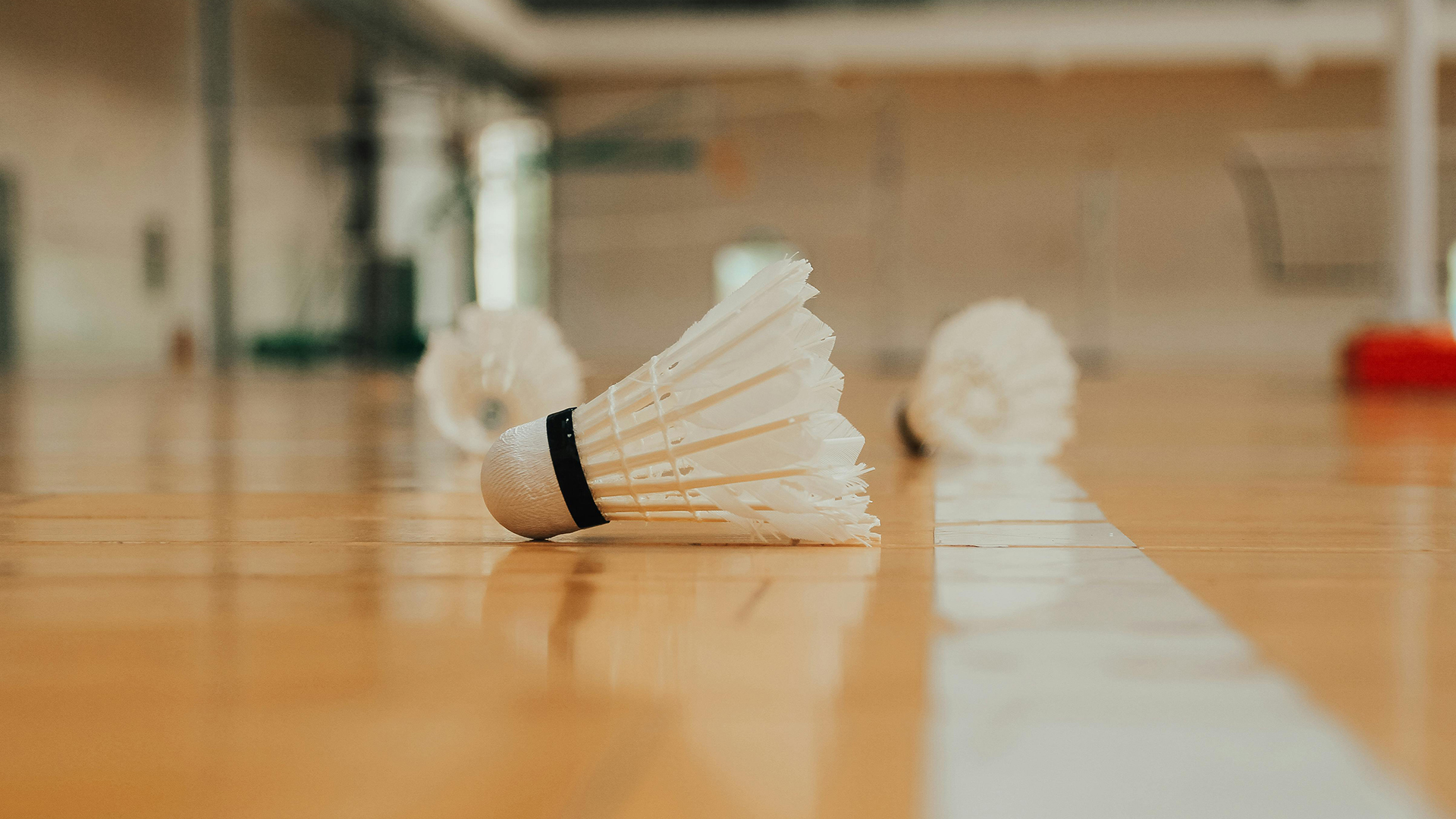 A close-up shot of a white feather shuttlecock lying on a polished wooden gymnasium floor next to a white court line, with additional shuttlecocks blurred in the background.