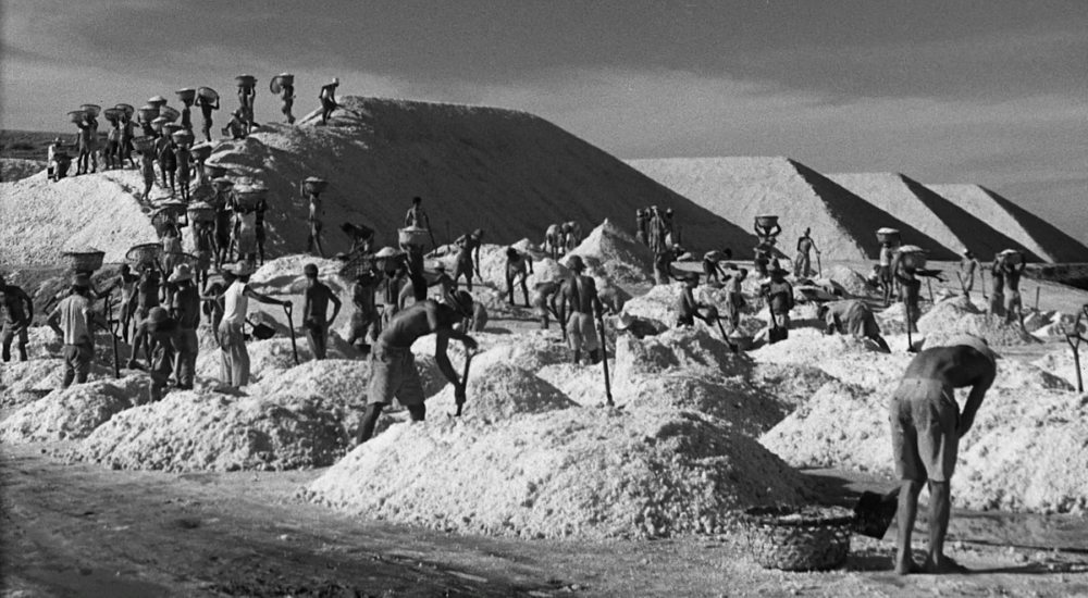A black-and-white image from the film Araya showing numerous workers shoveling and carrying heavy loads across large mounds of white salt at a salt mine under a bright sky.