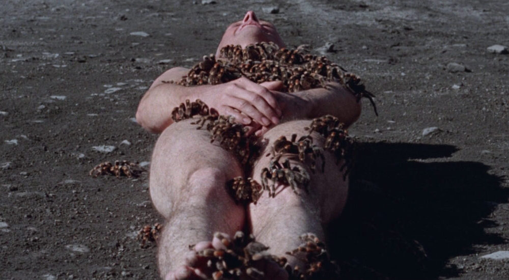 The Holy Mountain | 35mm print!