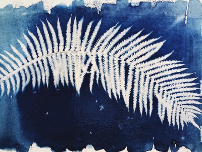 Details For Event 22133 – Cyanotype