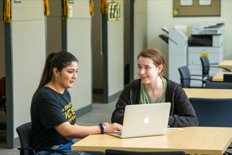Student and a peer mentor in a one-on-one meeting