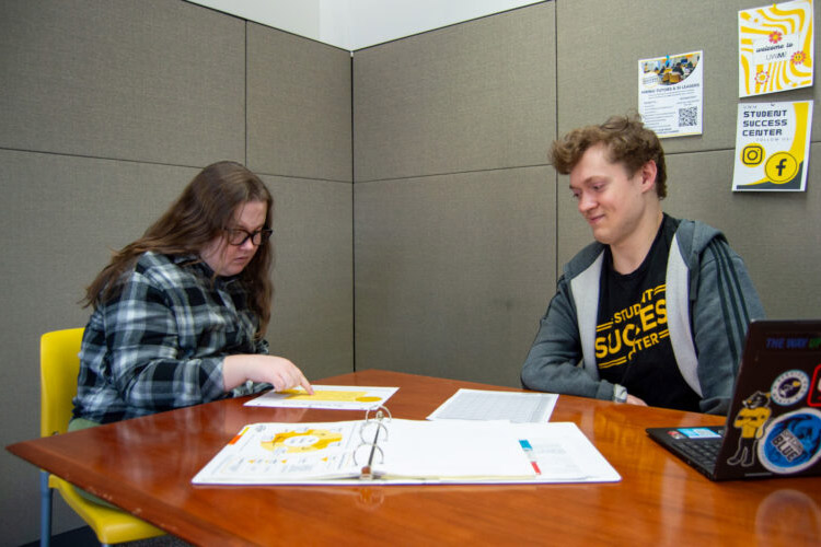 Student and tutor in tutoring session