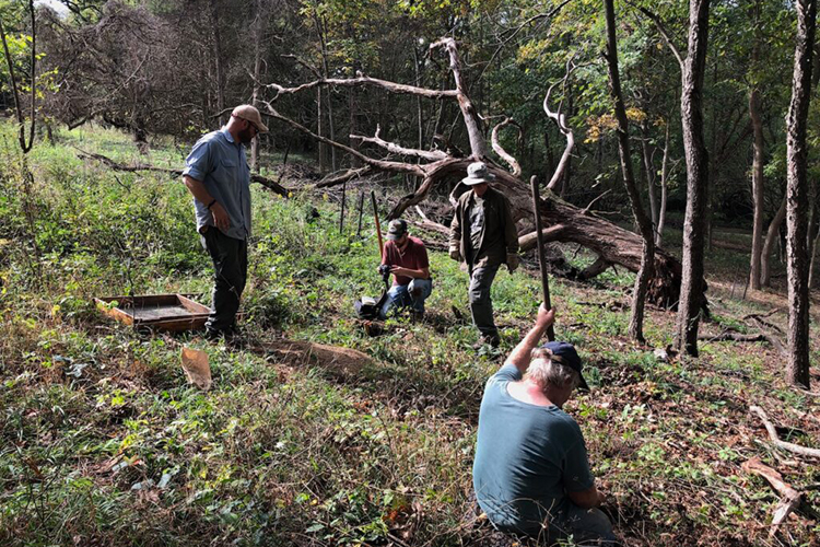 Students and instructor conducting forest research among fallen trees and vegetation in a wooded area with dappled sunlight.