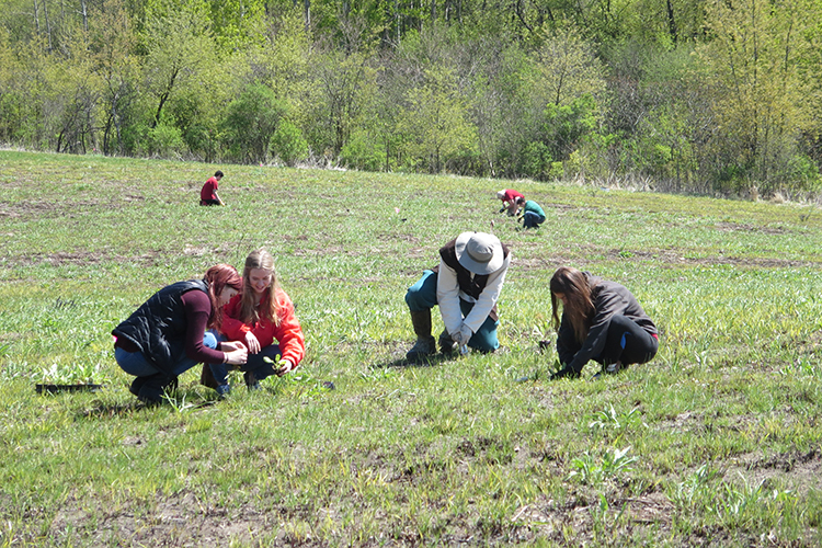 UWM at Waukesha Field Station Stewardship Day – Prairie Planting