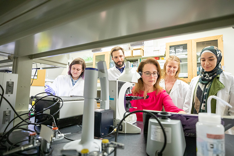 A researcher and grad students gather in a lab.