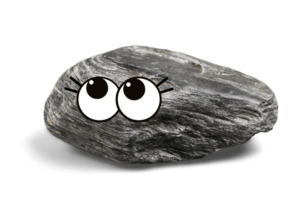 A photo of a rock with fake googley eyes looking up at the text.