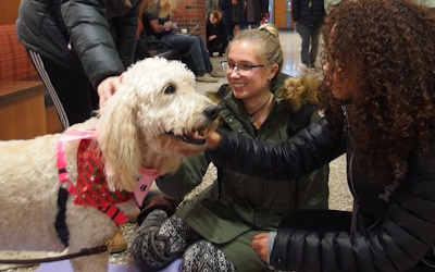 A photo of people petting a dog