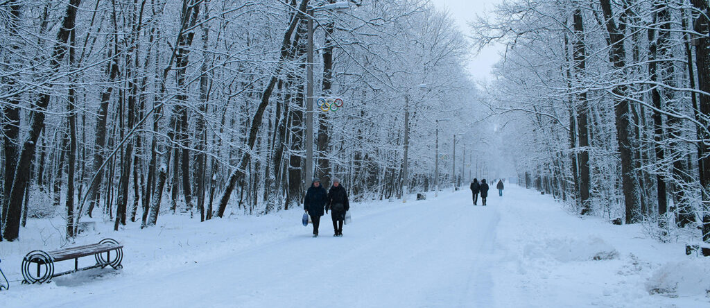 Two people walk on a snowy path in the woods in the winter