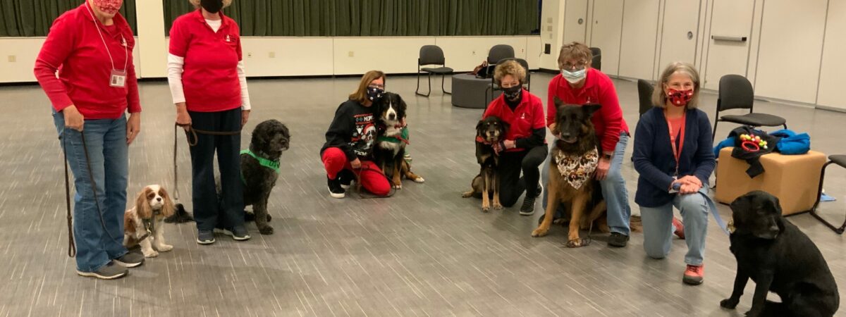 therapy dog event
