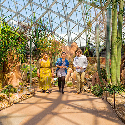 Students walking around in the Mitchell Park botanical domes
