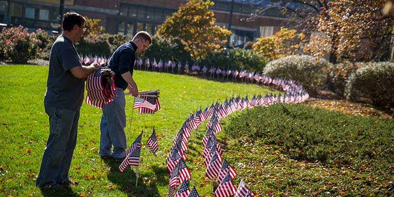 Flags are placed on campus for Veterans Week