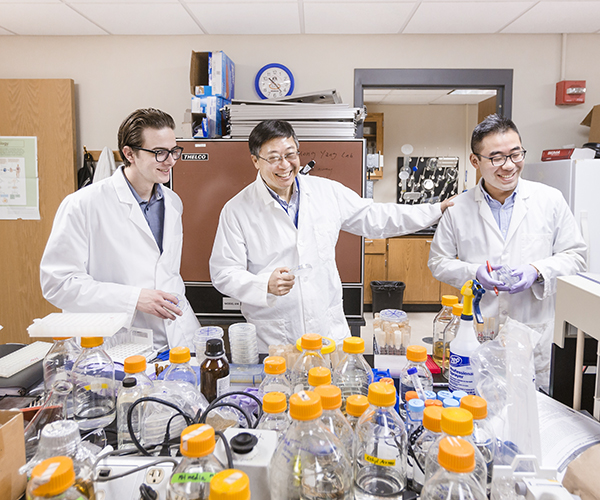 A student, professor and postdoctoral researcher work together in a lab.