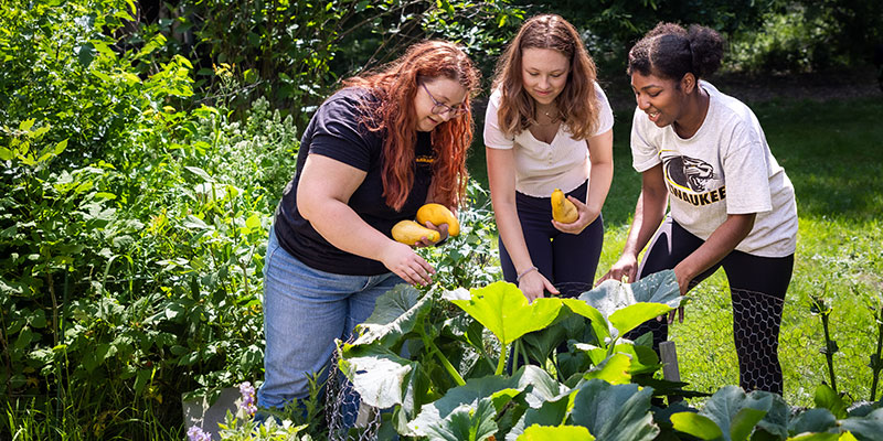 Three UWM students gardening on campus